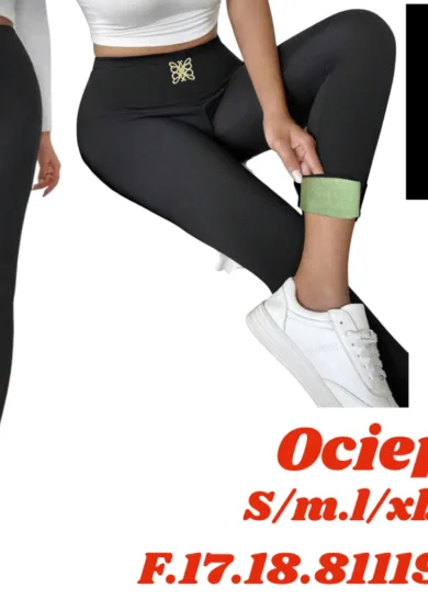 Leginsy
