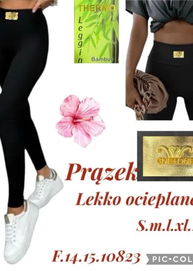 Leginsy