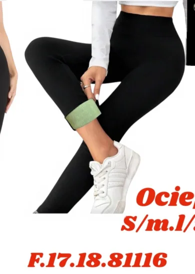 Leginsy